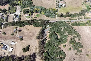 6675 Petersen Rd, Petaluma, CA 94952 - Photo 53