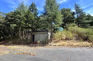 6675 Petersen Rd, Petaluma, CA 94952 - Photo 59