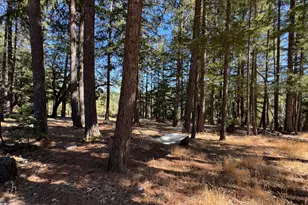 4501 Lakewood Dr, Willits, CA 95490 - Photo 37