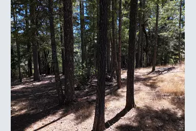 4501 Lakewood Drive, Willits, CA 95490 - Photo 31