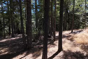 4501 Lakewood Dr, Willits, CA 95490 - Photo 31