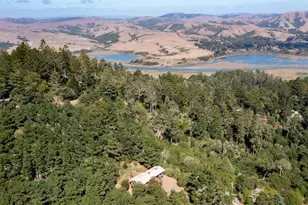 90 Dover Rd, Inverness, CA 94937 - Photo 47