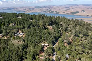 90 Dover Rd, Inverness, CA 94937 - Photo 49