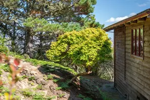 90 Dover Rd, Inverness, CA 94937 - Photo 37