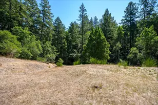 11032 Peaks Pike Rd, Sebastopol, CA 95472 - Photo 47