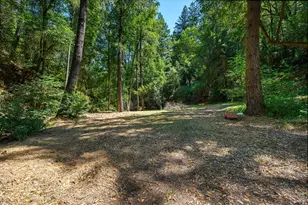 11032 Peaks Pike Rd, Sebastopol, CA 95472 - Photo 51