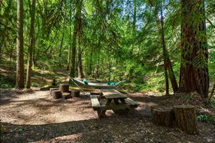 11032 Peaks Pike Rd, Sebastopol, CA 95472 - Photo 45