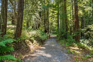 11032 Peaks Pike Rd, Sebastopol, CA 95472 - Photo 43
