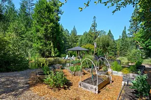 11032 Peaks Pike Rd, Sebastopol, CA 95472 - Photo 37