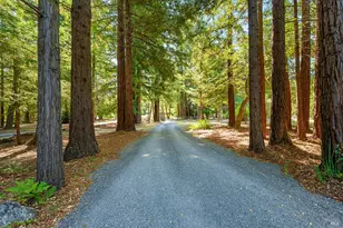 11032 Peaks Pike Rd, Sebastopol, CA 95472 - Photo 53