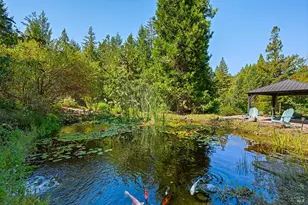 11032 Peaks Pike Rd, Sebastopol, CA 95472 - Photo 39
