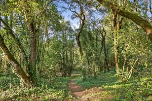 1450 Timberhill Rd, Santa Rosa, CA 95401 - Photo 41
