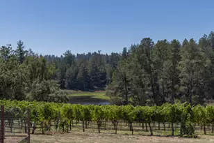 4630 Maddocks Rd, Sebastopol, CA 95472 - Photo 15