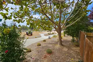 1001 Camellia Ct, Suisun City, CA 94585 - Photo 23