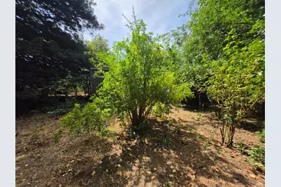 24135 Agency Road, Covelo, CA 95428 - Photo 5