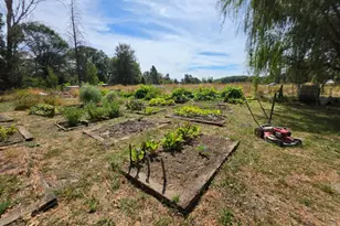 24135 Agency Rd, Covelo, CA 95428 - Photo 37