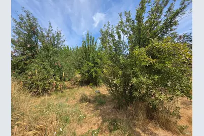 24135 Agency Road, Covelo, CA 95428 - Photo 19