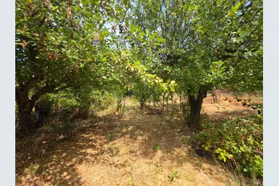 24135 Agency Road, Covelo, CA 95428 - Photo 17