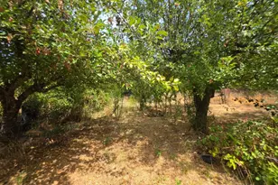 24135 Agency Rd, Covelo, CA 95428 - Photo 17