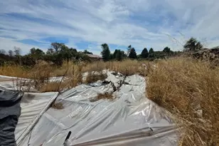 24135 Agency Rd, Covelo, CA 95428 - Photo 21