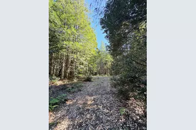 45400 Bill Owens Road, Point Arena, CA 95468 - Photo 9