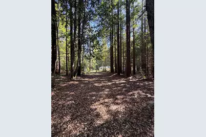 45400 Bill Owens Road, Point Arena, CA 95468 - Photo 5