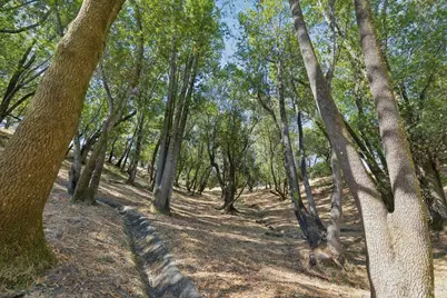 261 Redhawk Road, Novato, CA 94949 - Photo 43