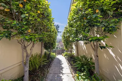 343 Somerset Road, Oakland, CA 94611 - Photo 3
