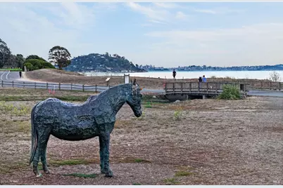 283 Cecilia Way, Tiburon, CA 94920 - Photo 35