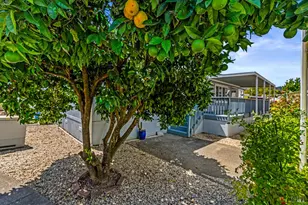6468 Washington St, Yountville, CA 94599 - Photo 9