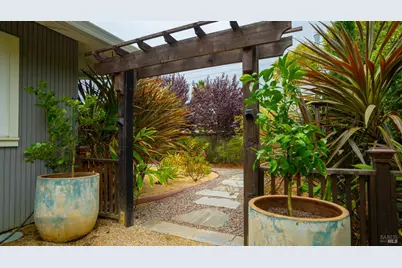 325 Point San Pedro Road, San Rafael, CA 94901 - Photo 69