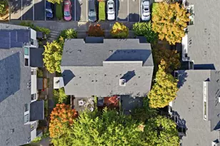 55 Park Terrace, Mill Valley, CA 94941 - Photo 43