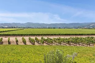55 Hunter Ranch Rd, Napa, CA 94558 - Photo 43