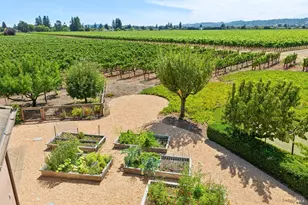 55 Hunter Ranch Rd, Napa, CA 94558 - Photo 93