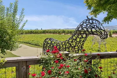 55 Hunter Ranch Road, Napa, CA 94558 - Photo 89