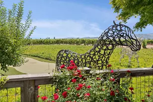 55 Hunter Ranch Rd, Napa, CA 94558 - Photo 89