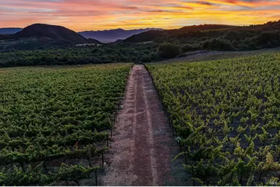 3585 Soda Canyon Road, Napa, CA 94558 - Photo 9