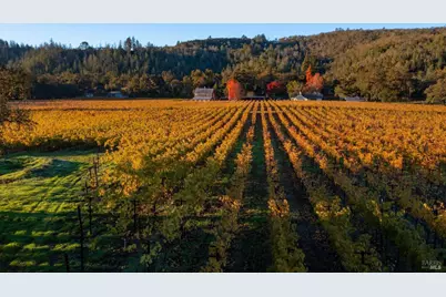 970 Conn Valley Road, Saint Helena, CA 94574 - Photo 5