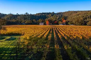 970 Conn Valley Rd, Saint Helena, CA 94574 - Photo 5