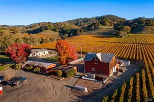 970 Conn Valley Rd, Saint Helena, CA 94574 - Photo 31