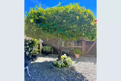 705 Sequoia Street, Windsor, CA 95492 - Photo 55