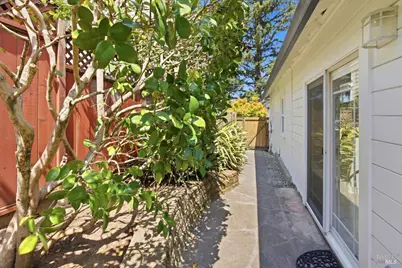 115 Antonette Avenue, San Rafael, CA 94901 - Photo 17