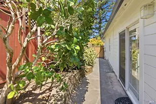 115 Antonette Ave, San Rafael, CA 94901 - Photo 17