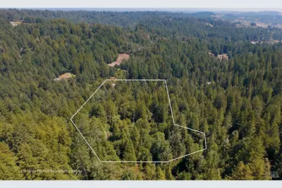 2728 Bohemian Highway, Occidental, CA 95465 - Photo 5