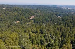 2728 Bohemian Hwy, Occidental, CA 95465 - Photo 5