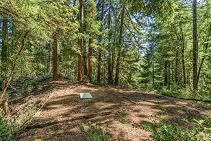 2728 Bohemian Hwy, Occidental, CA 95465 - Photo 41