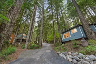 2728 Bohemian Hwy, Occidental, CA 95465 - Photo 45