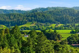 1750 Lytton Springs Rd, Healdsburg, CA 95448 - Photo 89