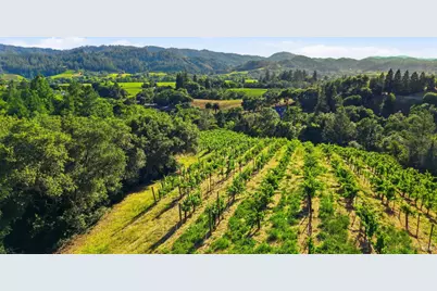 1750 Lytton Springs Road, Healdsburg, CA 95448 - Photo 81