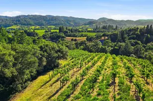 1750 Lytton Springs Rd, Healdsburg, CA 95448 - Photo 81